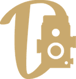 Dammy5ive logo